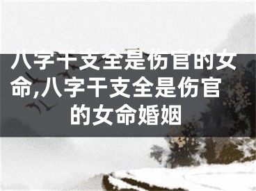 八字干支全是伤官的女命,八字干支全是伤官的女命婚姻