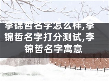 李锦哲名字怎么样,李锦哲名字打分测试,李锦哲名字寓意