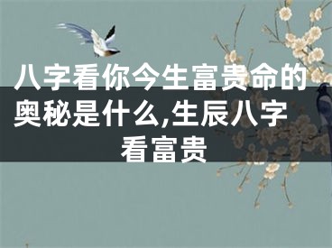 八字看你今生富贵命的奥秘是什么,生辰八字看富贵