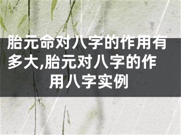 胎元命对八字的作用有多大,胎元对八字的作用八字实例