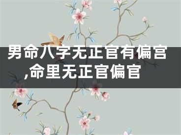 男命八字无正官有偏宫,命里无正官偏官