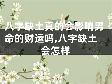 八字缺土真的会影响男命的财运吗,八字缺土会怎样