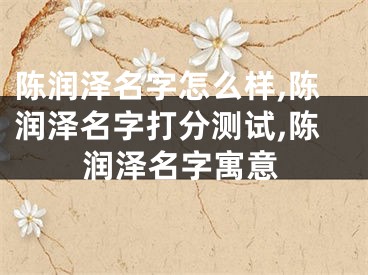 陈润泽名字怎么样,陈润泽名字打分测试,陈润泽名字寓意