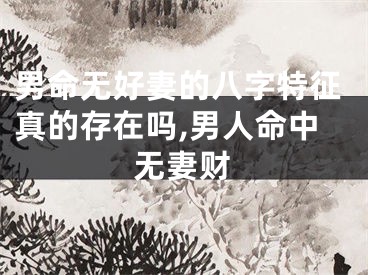 男命无好妻的八字特征真的存在吗,男人命中无妻财