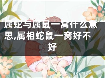 属蛇与属鼠一窝什么意思,属相蛇鼠一窝好不好