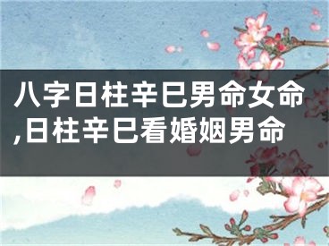 八字日柱辛巳男命女命,日柱辛巳看婚姻男命