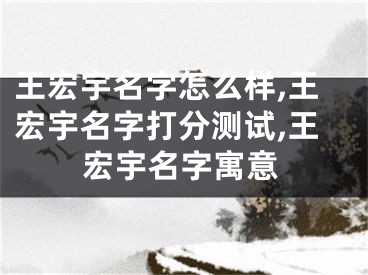 王宏宇名字怎么样,王宏宇名字打分测试,王宏宇名字寓意