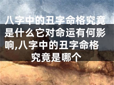 八字中的丑字命格究竟是什么它对命运有何影响,八字中的丑字命格究竟是哪个
