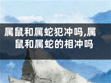 属鼠和属蛇犯冲吗,属鼠和属蛇的相冲吗