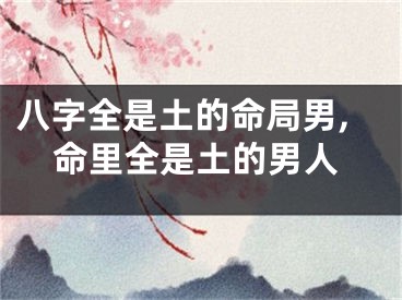 八字全是土的命局男,命里全是土的男人