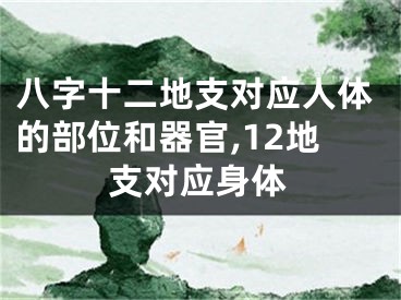 八字十二地支对应人体的部位和器官,12地支对应身体
