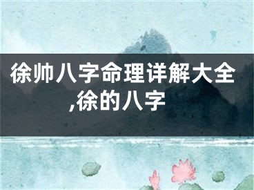 徐帅八字命理详解大全,徐的八字