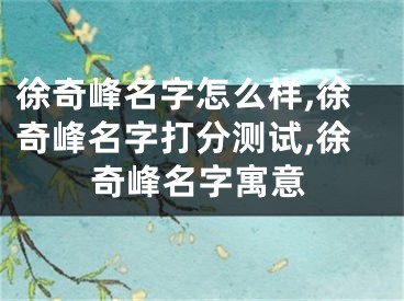 徐奇峰名字怎么样,徐奇峰名字打分测试,徐奇峰名字寓意