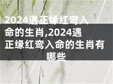 2024遇正缘红鸾入命的生肖,2024遇正缘红鸾入命的生肖有哪些
