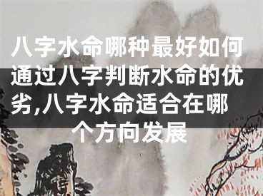 八字水命哪种最好如何通过八字判断水命的优劣,八字水命适合在哪个方向发展