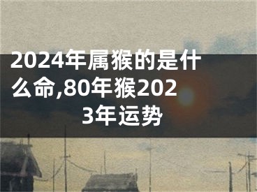 2024年属猴的是什么命,80年猴2023年运势