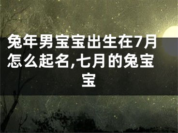 兔年男宝宝出生在7月怎么起名,七月的兔宝宝
