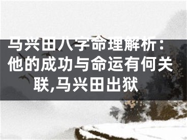 马兴田八字命理解析：他的成功与命运有何关联,马兴田出狱