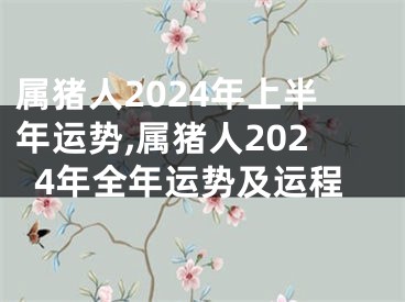 属猪人2024年上半年运势,属猪人2024年全年运势及运程