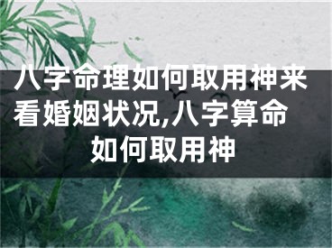 八字命理如何取用神来看婚姻状况,八字算命如何取用神