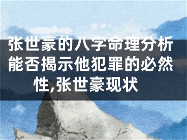 张世豪的八字命理分析能否揭示他犯罪的必然性,张世豪现状