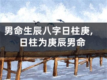 男命生辰八字日柱庚,日柱为庚辰男命