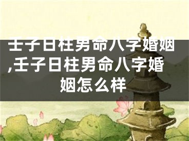 壬子日柱男命八字婚姻,壬子日柱男命八字婚姻怎么样