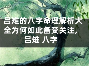 吕雉的八字命理解析大全为何如此备受关注,吕雉 八字