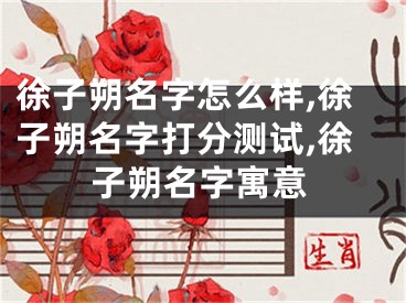 徐子朔名字怎么样,徐子朔名字打分测试,徐子朔名字寓意