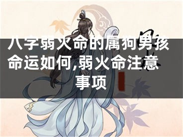 八字弱火命的属狗男孩命运如何,弱火命注意事项