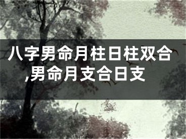 八字男命月柱日柱双合,男命月支合日支