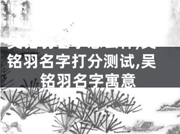 吴铭羽名字怎么样,吴铭羽名字打分测试,吴铭羽名字寓意