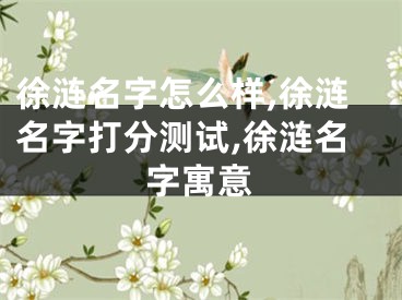 徐涟名字怎么样,徐涟名字打分测试,徐涟名字寓意