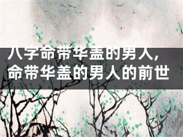 八字命带华盖的男人,命带华盖的男人的前世