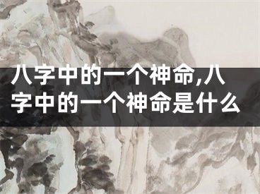 八字中的一个神命,八字中的一个神命是什么