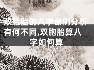 双胞胎的八字命例分析有何不同,双胞胎算八字如何算