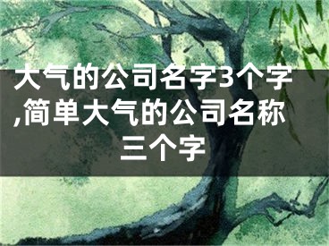大气的公司名字3个字,简单大气的公司名称三个字