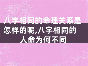 八字相同的命理关系是怎样的呢,八字相同的人命为何不同
