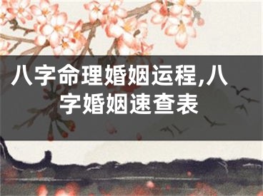 八字命理婚姻运程,八字婚姻速查表