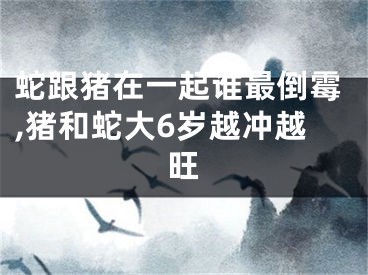 蛇跟猪在一起谁最倒霉,猪和蛇大6岁越冲越旺