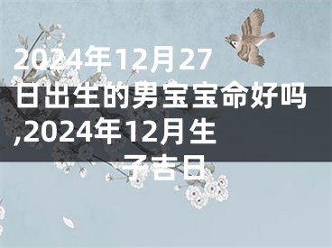 2024年12月27日出生的男宝宝命好吗,2024年12月生子吉日