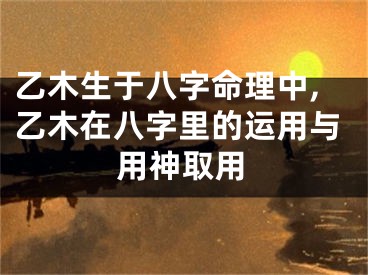 乙木生于八字命理中,乙木在八字里的运用与用神取用