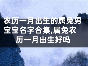 农历一月出生的属兔男宝宝名字合集,属兔农历一月出生好吗
