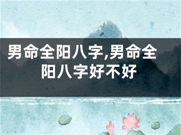 男命全阳八字,男命全阳八字好不好