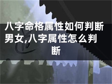 八字命格属性如何判断男女,八字属性怎么判断