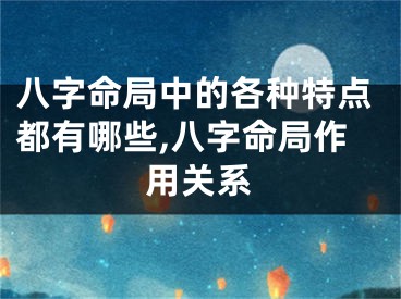 八字命局中的各种特点都有哪些,八字命局作用关系