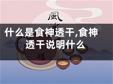 什么是食神透干,食神透干说明什么