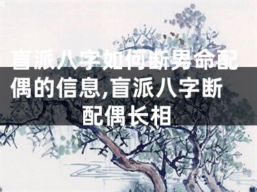 盲派八字如何断男命配偶的信息,盲派八字断配偶长相