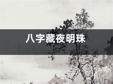 八字藏夜明珠