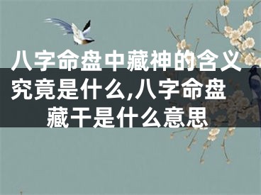八字命盘中藏神的含义究竟是什么,八字命盘藏干是什么意思